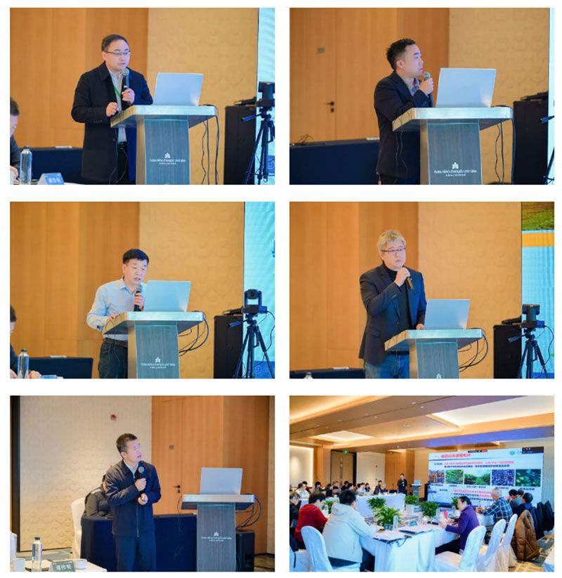 新朝陽牽頭的國家重點(diǎn)研發(fā)計(jì)劃項(xiàng)目中期總結(jié)會(huì)在成都召開