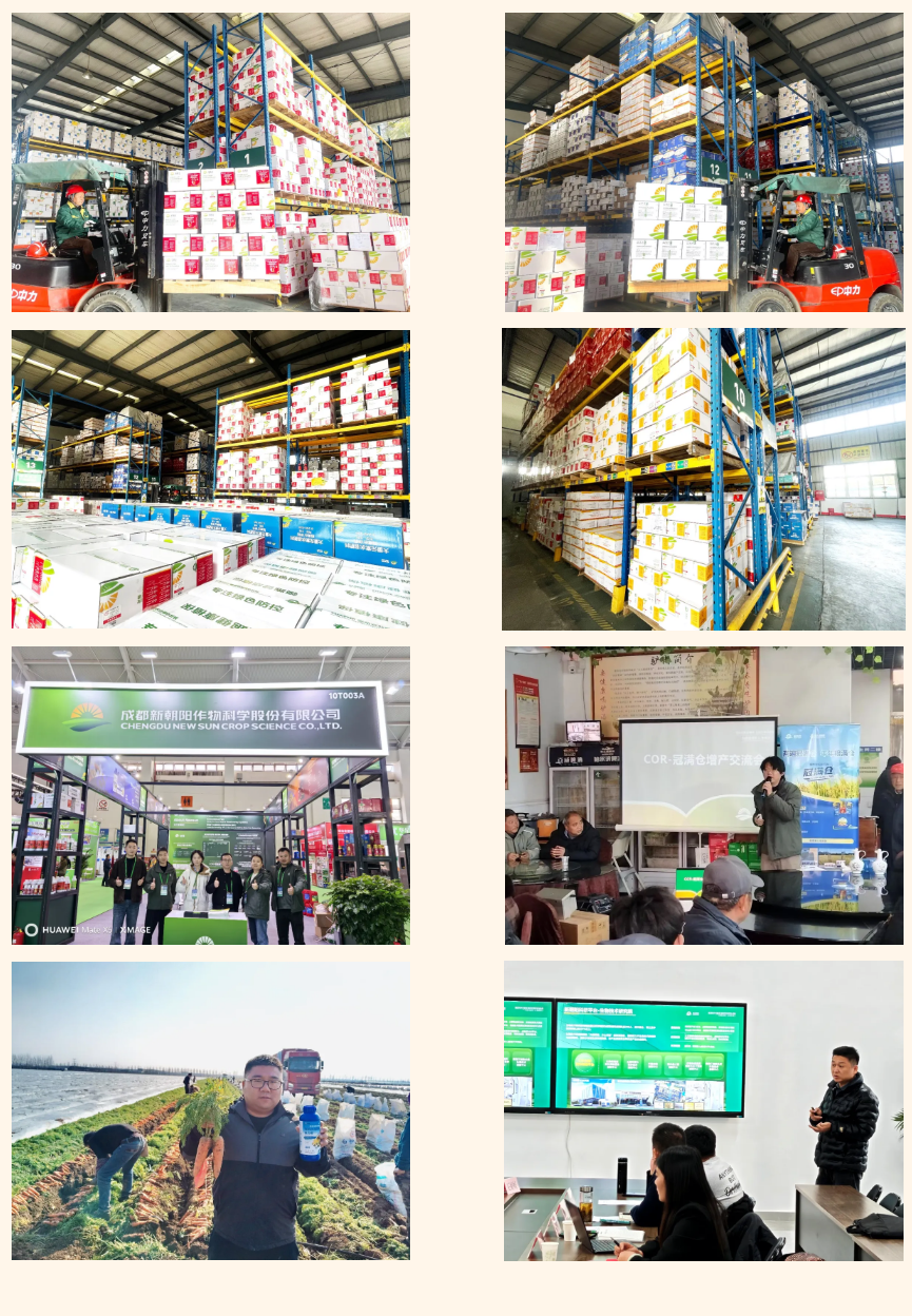 快馬加鞭戰(zhàn)春耕，馬年奮進(jìn)正當(dāng)時(shí)