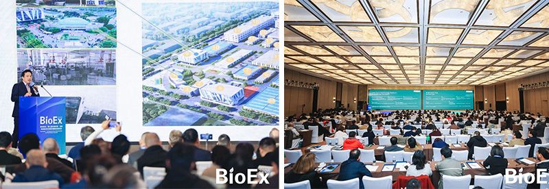 新朝陽亮相BioEx 2026：技術(shù)供給+屬地化協(xié)同，推動高性能生物刺激素高效落地