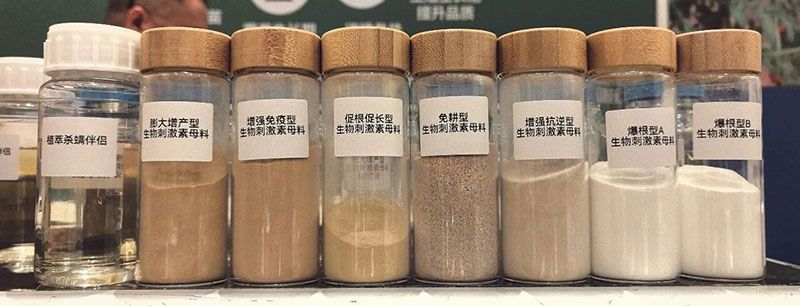 新朝陽亮相ABS 2026：聚焦生物刺激劑創(chuàng)新，助力農(nóng)業(yè)綠色轉(zhuǎn)型